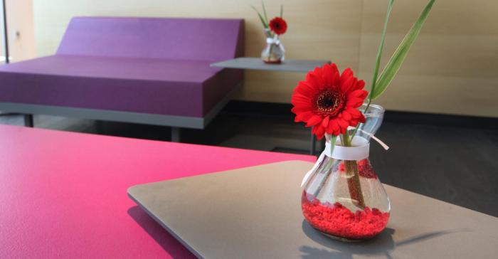 lindner sports academy