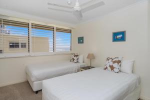 surfers paradise