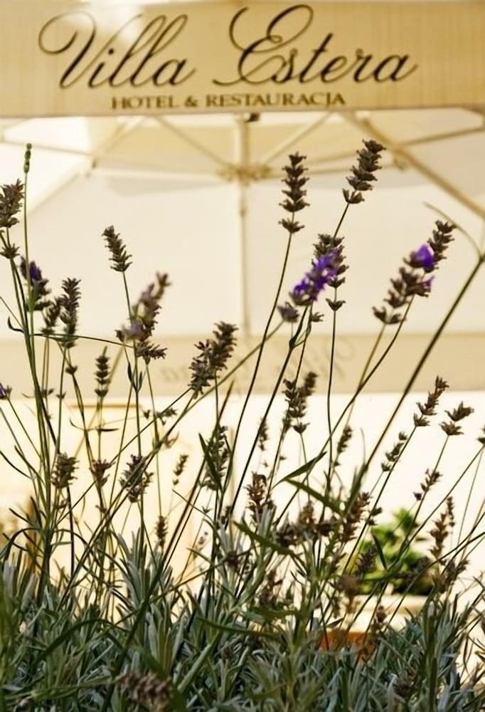 villa estera hotel and restauracja
