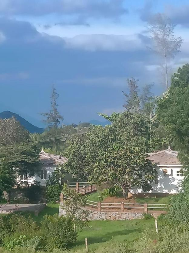 oxy valley resort