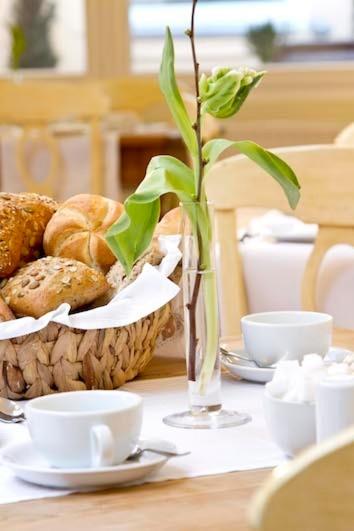 buchholz downtown hotel