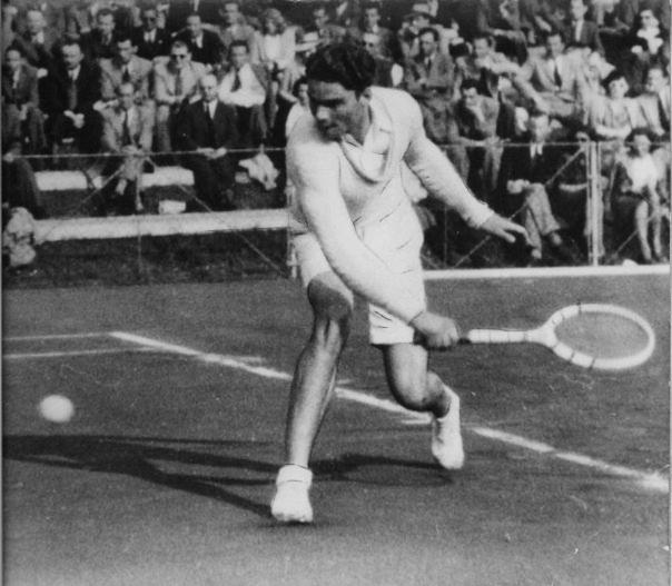 buchholz downtown hotel