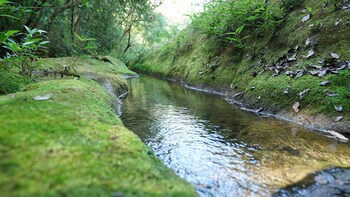 the punarnava resort