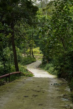 the punarnava resort