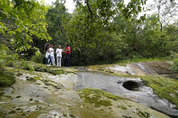 the punarnava resort