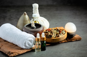 the punarnava resort