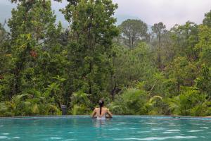 the punarnava resort