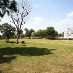 Hotel The Royal Palace,Dakan Kotra>>Udaipur,3 star