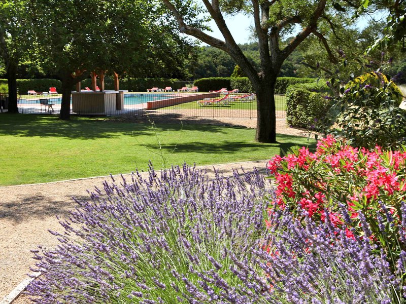 chateauneuf le rouge