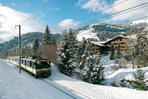 saanen