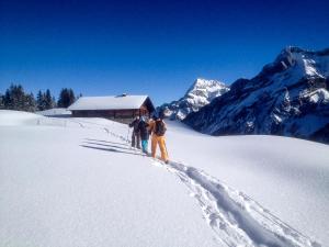 saanen