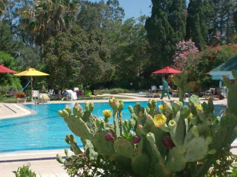 regency hammamet
