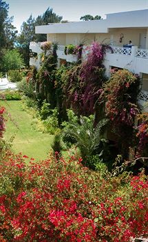 regency hammamet