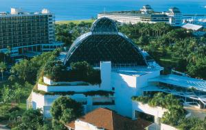 cairns southside international