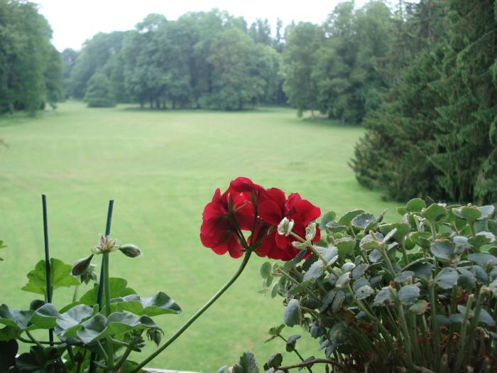 chateau dhassonville