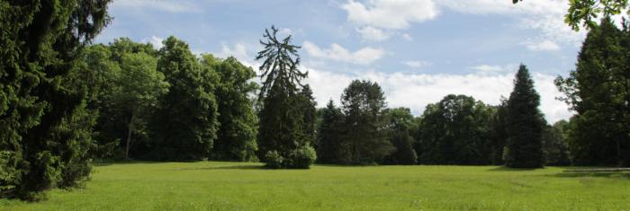 chateau dhassonville