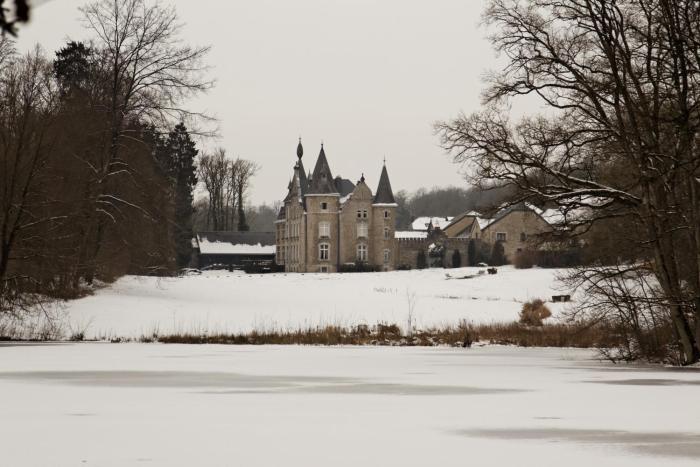 chateau dhassonville