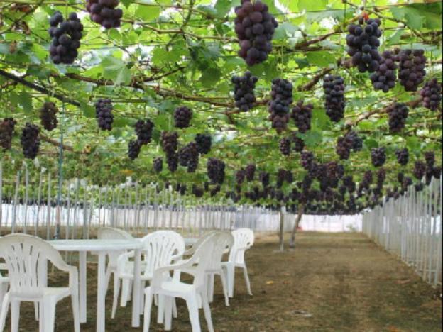 comfort inn sano fujioka inter