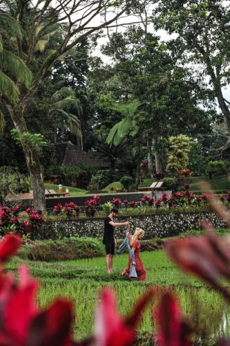 ijen resort and villas