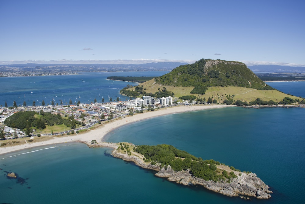 tauranga
