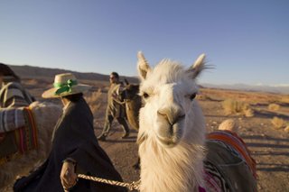 noi casa atacama