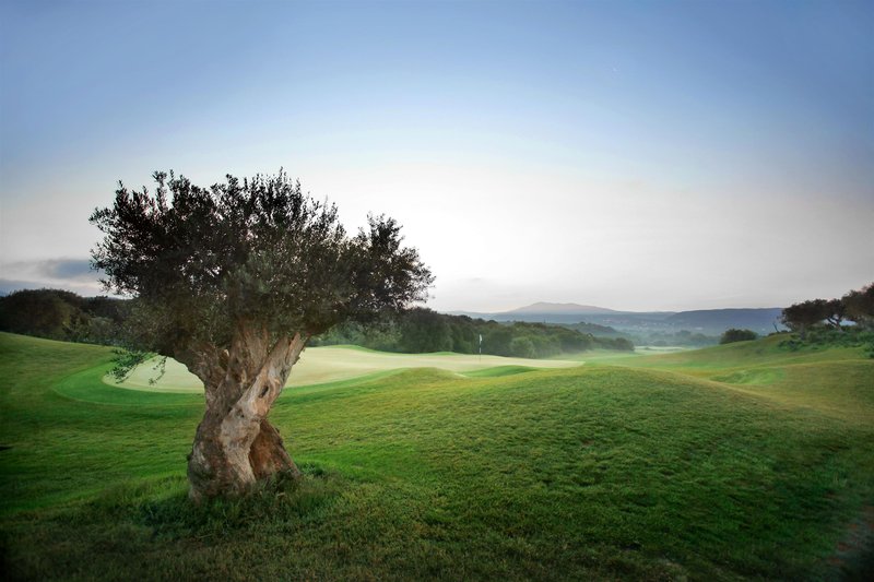 the westin resort costa navarino