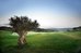 the westin resort costa navarino