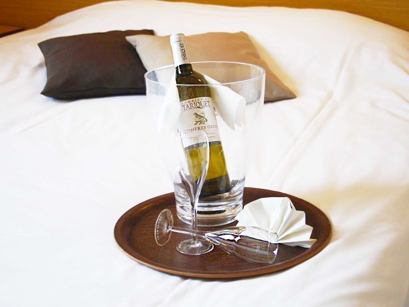 greet hotel castres saix