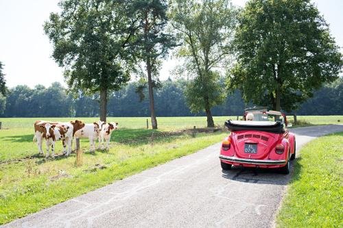 de lutte