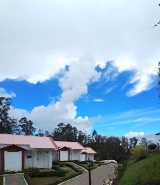 ooty