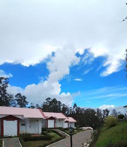 ooty