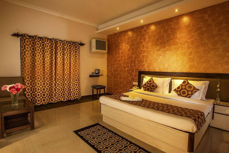 dharamshala the sanctuary