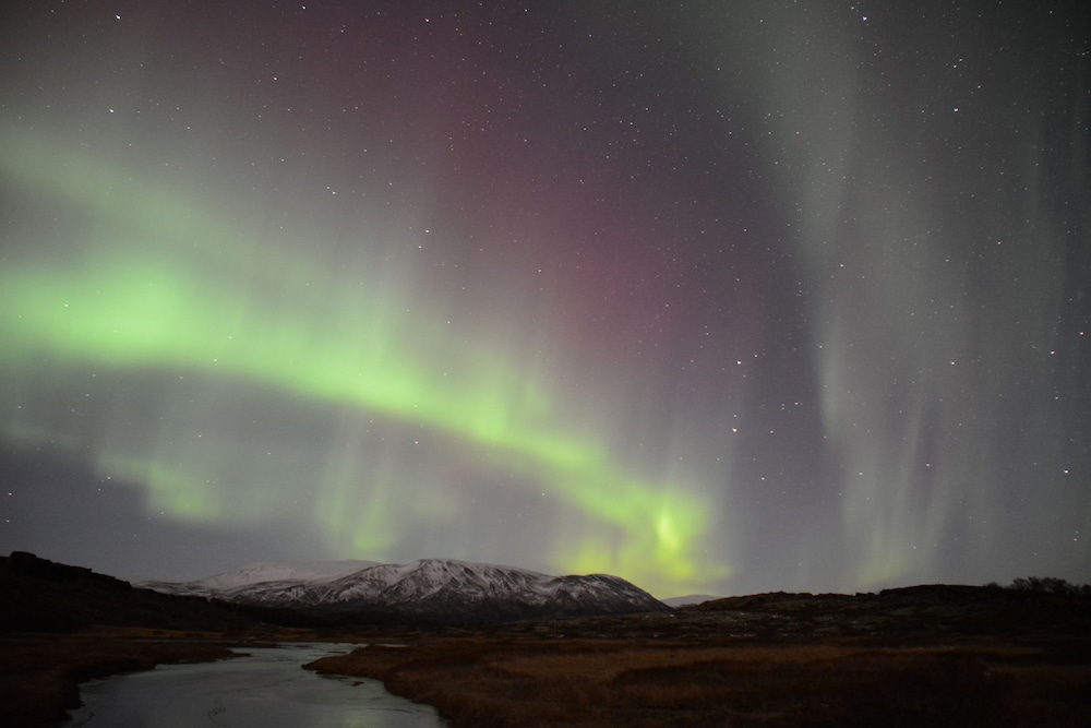 room with a view apartments