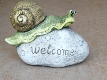 long view resort and spa rooms and apartments