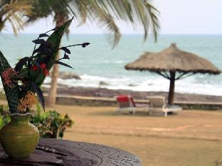 elmina