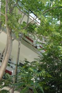 bristol hotel and apartments