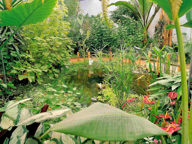 ibis orleans centre gare