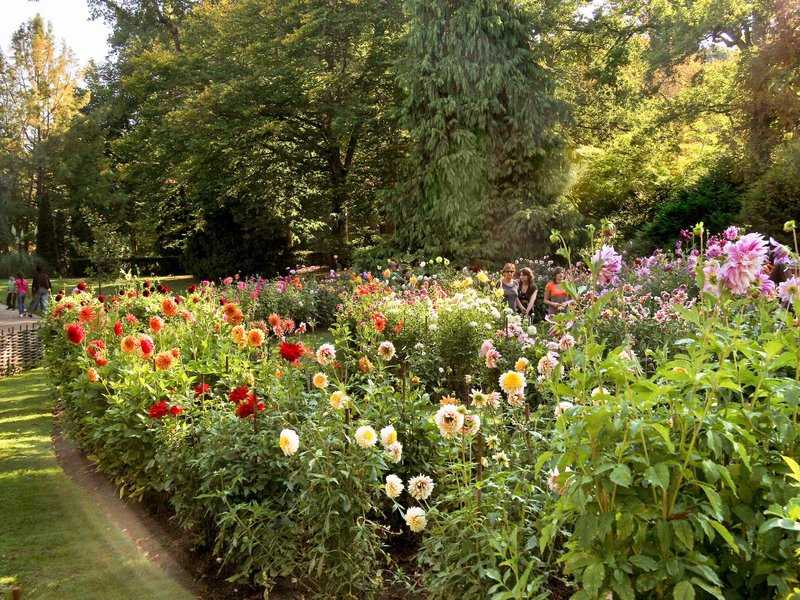 ibis orleans centre gare