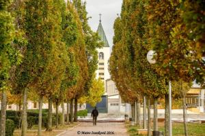 medjugorje hotel and spa