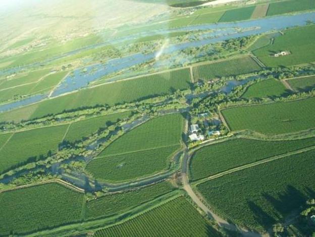 african vineyard guest house