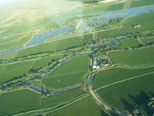 african vineyard guest house