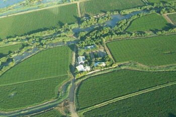 african vineyard guest house