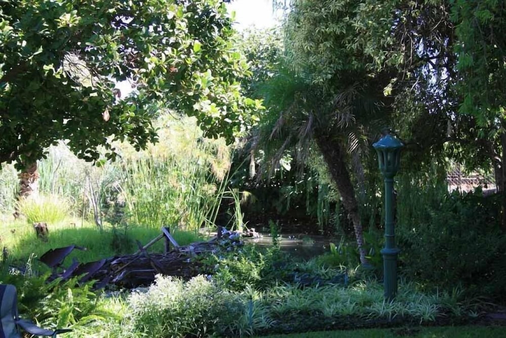 african vineyard guest house