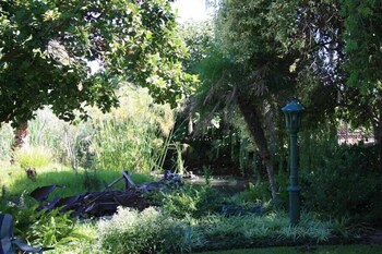 african vineyard guest house