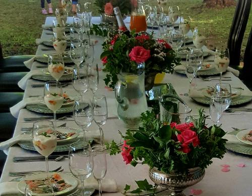 african vineyard guest house