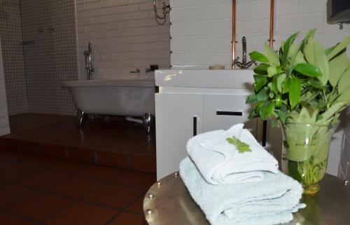 african vineyard guest house