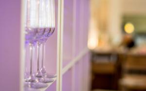 seehotel schwanenhof