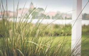 seehotel schwanenhof