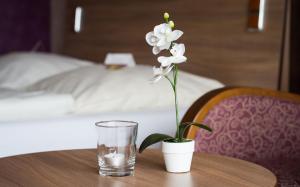 seehotel schwanenhof