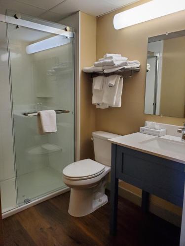 paynesville inn and suites